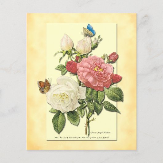 Roze Witte Botanische Rozen Flyer Sjabloon (Voorkant)
