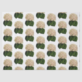  roze witte groene krantenbloemen #2 tissuepapier