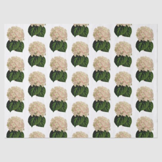  roze witte groene krantenbloemen #2 tissuepapier (Voorkant)