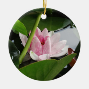 Roze Witte Lotus Bloem Fotografie Keramisch Ornament