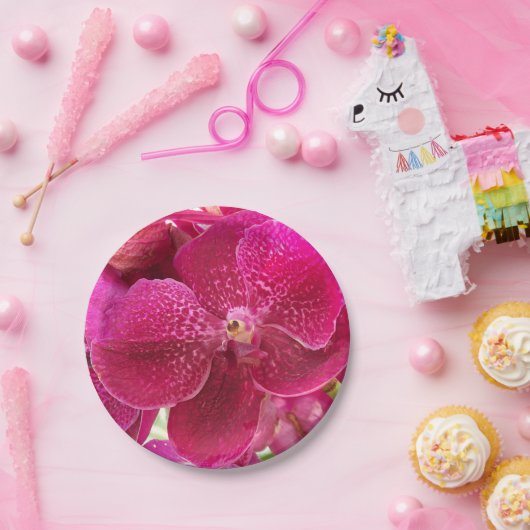 roze, witte, orchidebloem, natuur, zomer, tuin papieren bordje (Feest)