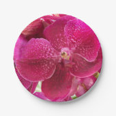 roze, witte, orchidebloem, natuur, zomer, tuin papieren bordje (Voorkant)