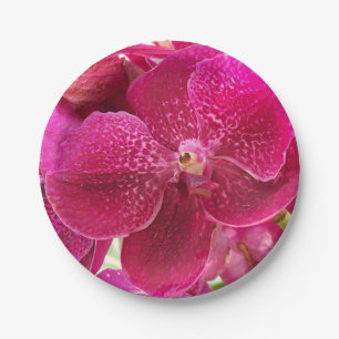roze, witte, orchidebloem, natuur, zomer, tuin papieren bordje