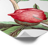 Roze Witte Pioenen Bloemen Bruiloft Zitkaarten Poster (Hoek)