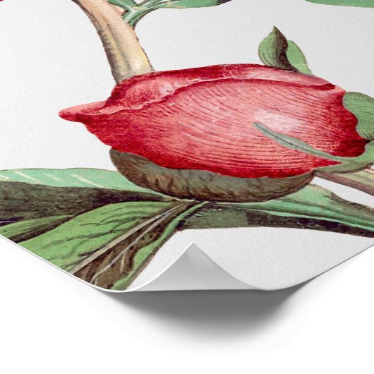 Roze Witte Pioenen Bloemen Bruiloft Zitkaarten Poster (Hoek)