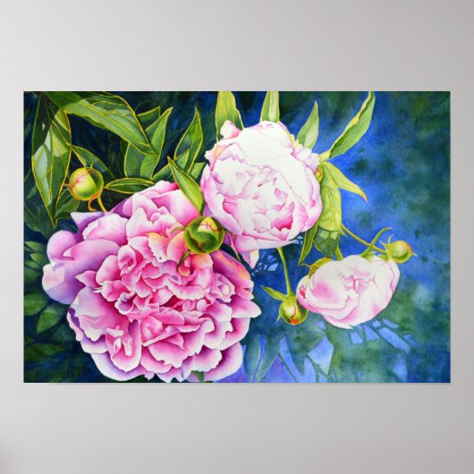 Roze witte pony schilderij | romantische bloem poster (Voorkant)