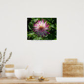 Roze-Witte Spikey-ventilator op de Brug van Bloeme Poster (Keuken)