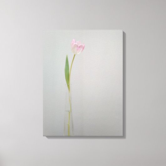 Roze witte Tulp in Vase Canvas Afdruk (Voorkant)