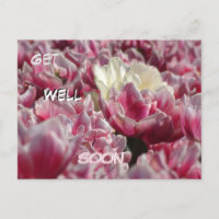 Roze Witte Tulpen Patroon Beterschap Kaart