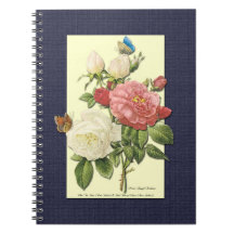 Roze witte Vintage Botanische Rozen