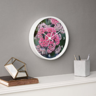 Roze & Witte Vlinder Stonecup