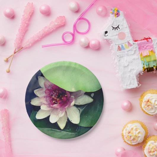 Roze,Witte Waterlelie, Lotus-Bloemdocument Bord (Feest)