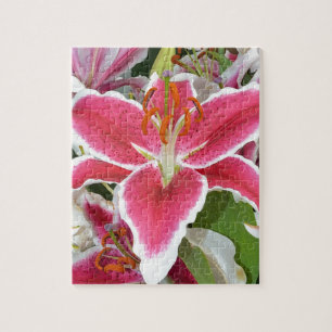 Roze zetmeellierbloemen legpuzzel