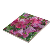Roze zetmeellierbloemen tegeltje (Zijkant)