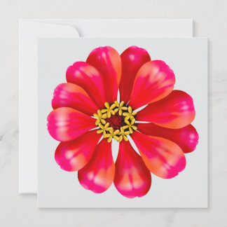 Roze Zinnia