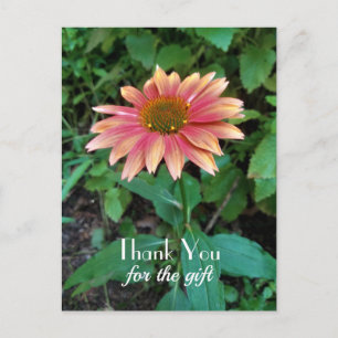 Roze Zinnia Bloem Foto Bedankt met Groet Briefkaart