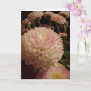 Roze Zinnia Bloemen Kaart