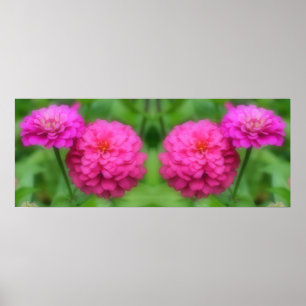 Roze Zinnia Bloemen Spiegel Abstract Poster