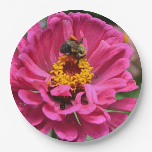 Roze Zinnia en Bumble bee Papieren Bordje (Voorkant)