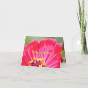 Roze Zinnia Flower Kaart