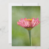 Roze Zinnia Flower Wedding Kaart (Achterkant)