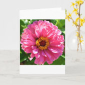 Roze Zinnia Kaart (Gele Bloem)