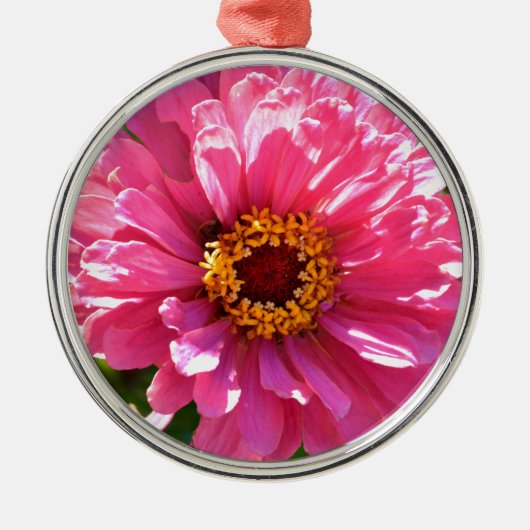 Roze Zinnia Metalen Ornament (Voorkant)