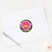 Roze Zinnia Stickers (Envelop)