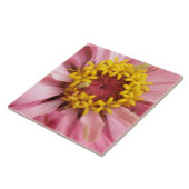 Roze Zinnia Tile Tegeltje (Zijkant)