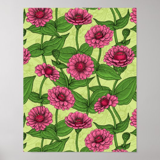 Roze Zinnias op lichtgroen Poster (Voorkant)