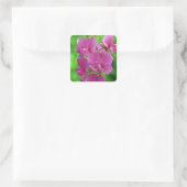 Roze Zoete Erwtenbloemen Vierkante Sticker (Tas)