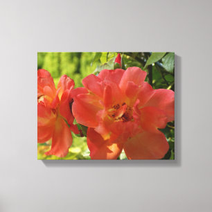 Roze Zomer Rozen Flower Photo Single Print