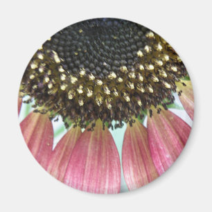 Roze zonnebloem Magnet Magneet