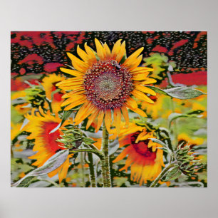 Roze zonnebloem poster