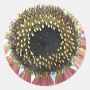  roze zonnebloemen ronde sticker