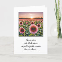 Roze Zonnebloemen voor Sympathie