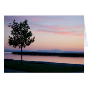 Roze zonneset