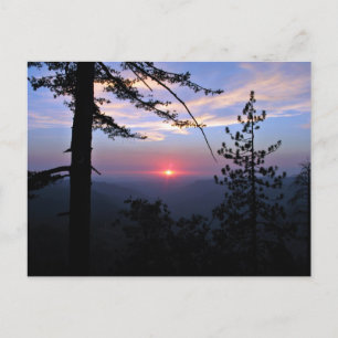 Roze zonsondergang met pijnbomen en wolken briefkaart