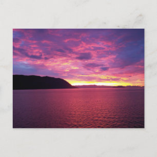 Roze Zonsopgang Ansichtkaart Briefkaart