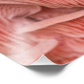 roze zwaluw foto afdruk (Hoek)