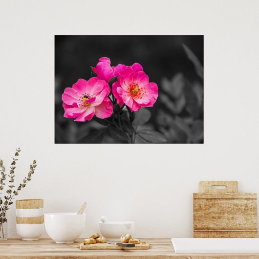 Roze zwarte witte zwart-witzwart-wit poster (Keuken)