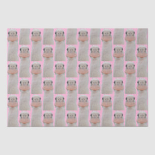 Rozeate Spoonbill Chick Tissue Paper Tissuepapier