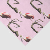 Rozeate Spoonbill Tissue Paper Tissuepapier (Detail)