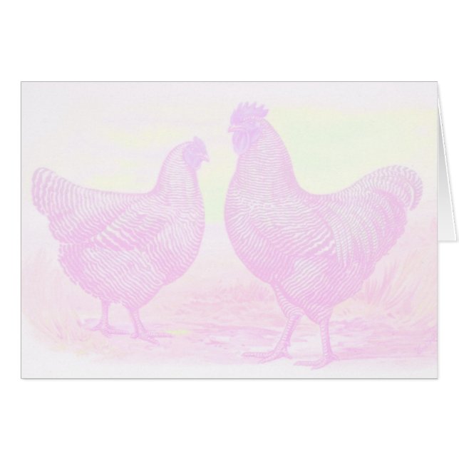 RozeFoam (Voorkant Horizontaal)