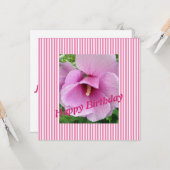 Rozemarijn platte kaart (Voorkant / Achterkant in situ)