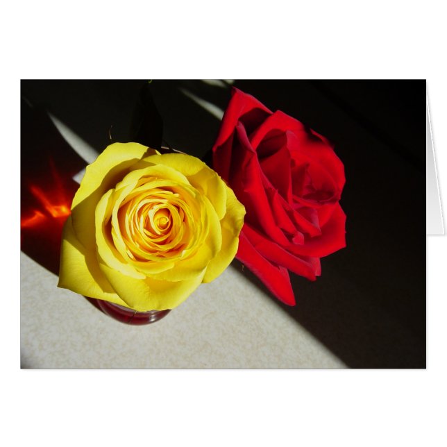 Rozen (Voorkant Horizontaal)