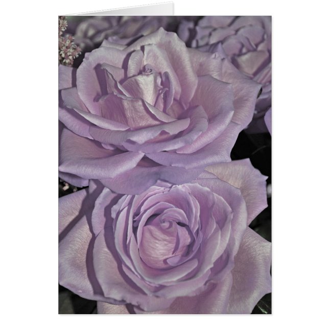 Rozen (Voorkant)