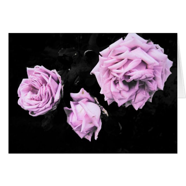 Rozen (Voorkant Horizontaal)