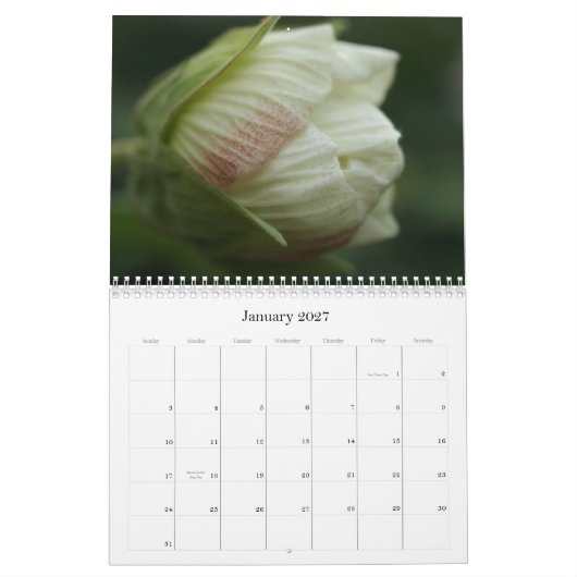 Rozen 2009 kalender (Jan 2027)