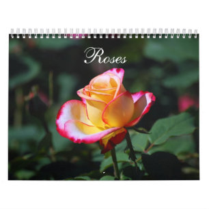 Rozen 2020 kalender